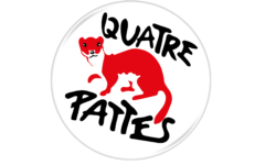 quatre-pattes