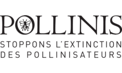 POLLINIS