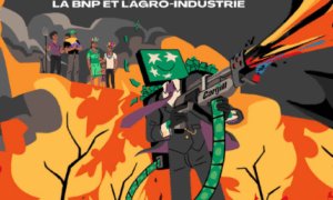 L'argent qui détruit, enquête sur les liens entre la BNP et l'agro-industrie rapport publié par ActionAid France