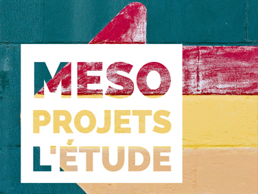 Etude Méso Projets